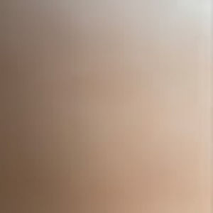 Meet your Posher, Maria antoinette